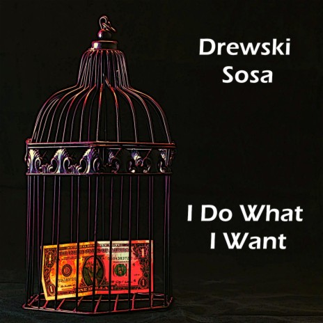 I Do What I Want (Instrumental) cover art