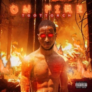 Tgottorch