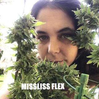 Miss Liss Flex (Radio Edit)