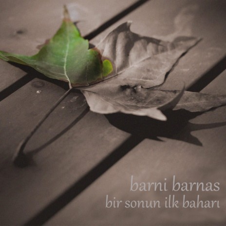 Küllerimin Gölgesinde ft. Mert Yalçın cover art