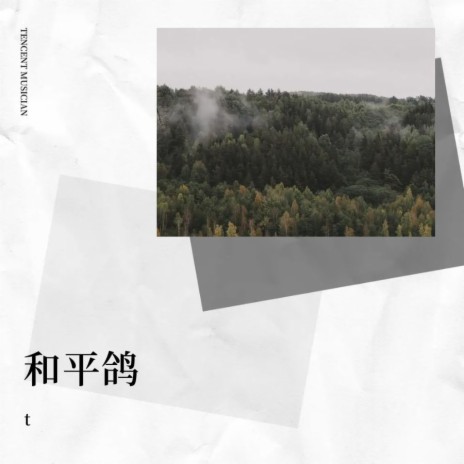 和平鸽 cover art
