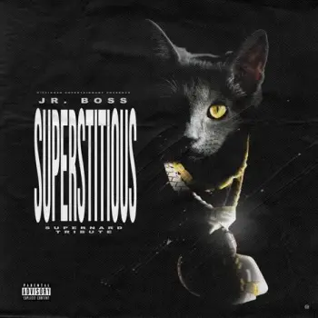 Superstitious (Super Nard Tribute) cover art