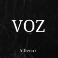 Adiós