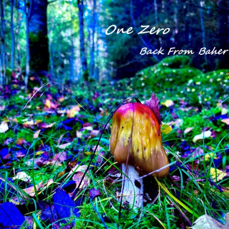 Back From Baher cover art