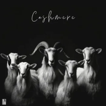 cashmere cover art