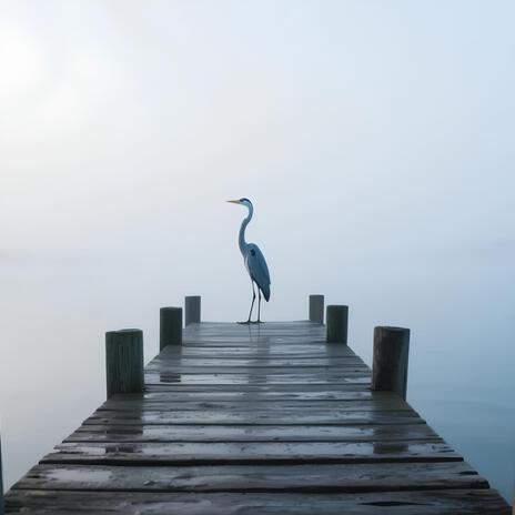 Morning Mist on the Bay cover art