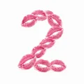 ruger!