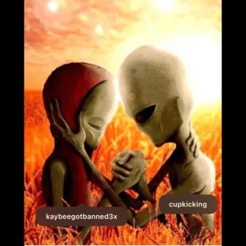 Not Hard cover art