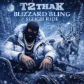 Blizzard Bling Sleigh Ride