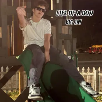 life of a don (Clean Version) cover art