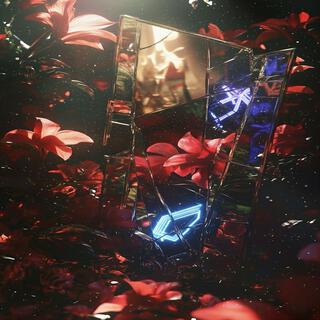 Broken mirror