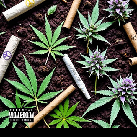 WYG? ft. BIG ZOOT cover art
