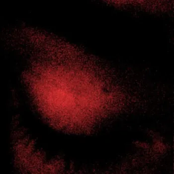 oculus ft. Clams Casino cover art