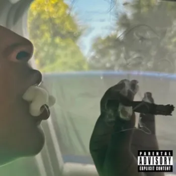 IDB cover art