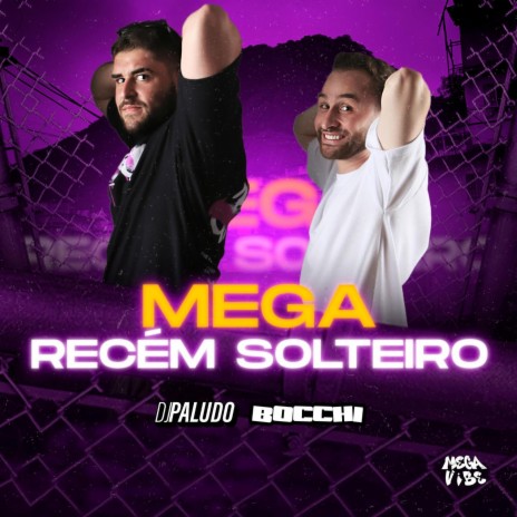 Mega Recém Solteiro ft. DJ Paludo cover art