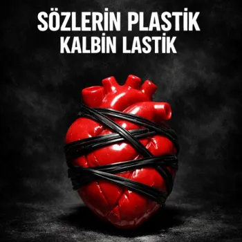 Sözlerin plastik kalbin lastik! cover art