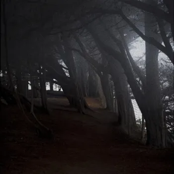 Forest cover art
