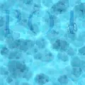P.O.T
