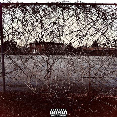the fog is nice cover art
