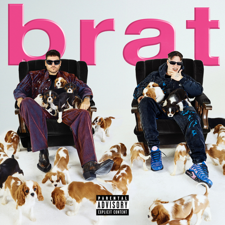 niekde v tatrách ft. Luca Brassi10x cover art