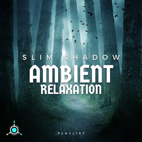 The Sound of Stillness cover art