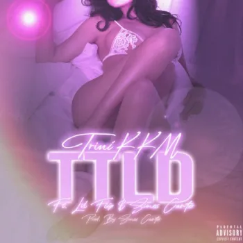 T.T.L.D (Turn The Lights Down) ft. Lil Flip & Simes Carter cover art