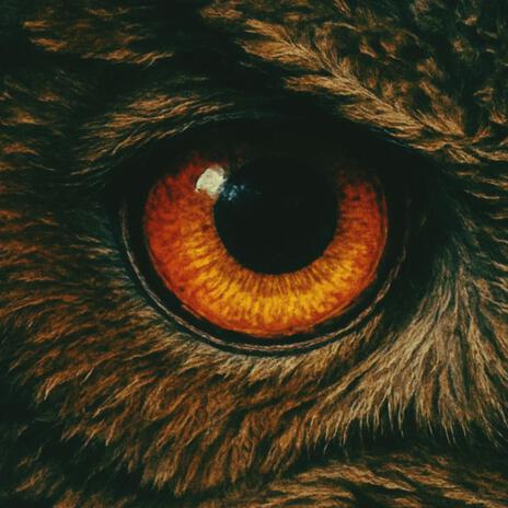 Oog