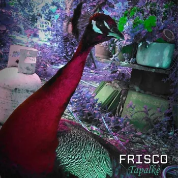 Pájaros cover art