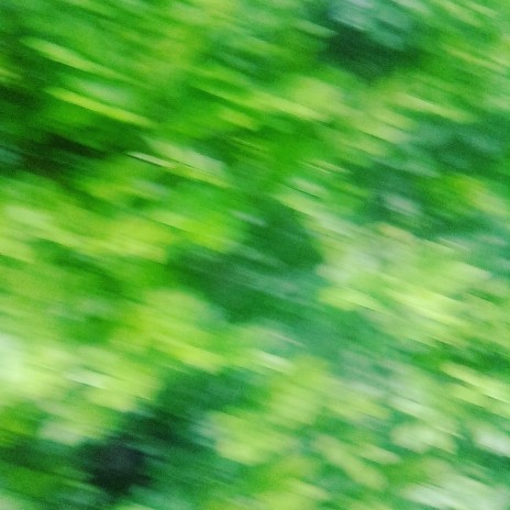 Green Intro