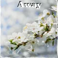 Away