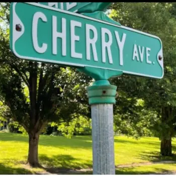 CHERRY AVE cover art
