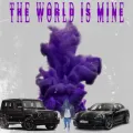 The World Is Mine