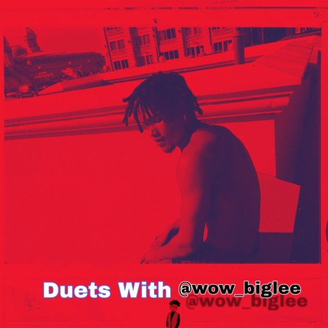 Duet 4 (feat. Wow_BigLee) cover art