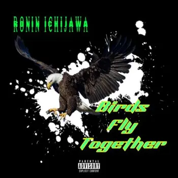 Birds Fly Together cover art