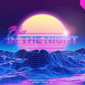 In the Night cover art