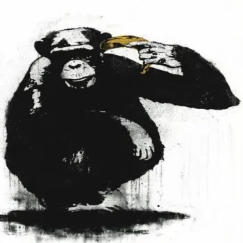 BACK2NC cover art