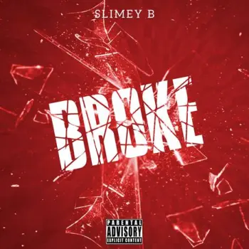 Broke cover art