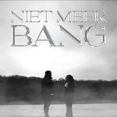 Niet Meer Bang ft. Nicole DV cover art