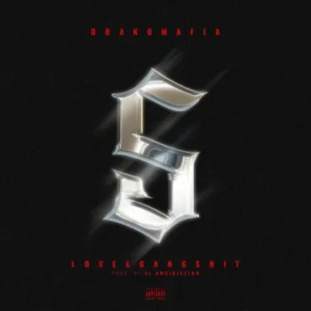5 cover art