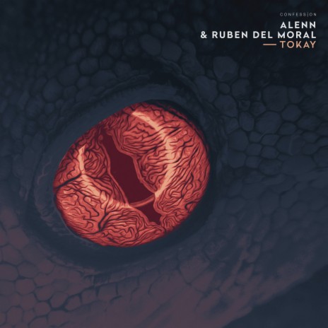 Tokay ft. Ruben Del Moral cover art