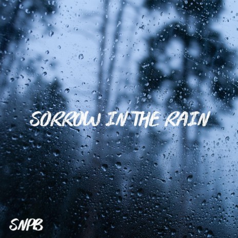 Sorrow In The Rain cover art