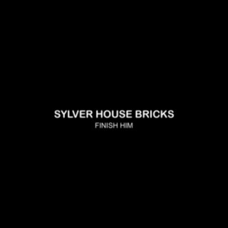 Sylver House Bricks