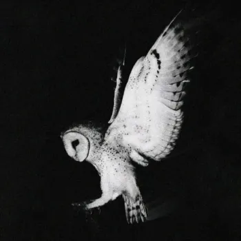 MOUKA cover art
