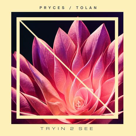 Tryin 2 See ft. Pryces cover art