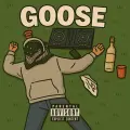 GOOSE