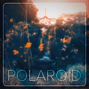 Polaroid (Official Instrumental) cover art