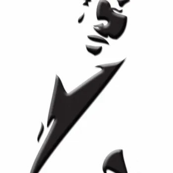 Constant cover art
