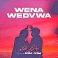 Wena Wedvwa ft. Diba Diba