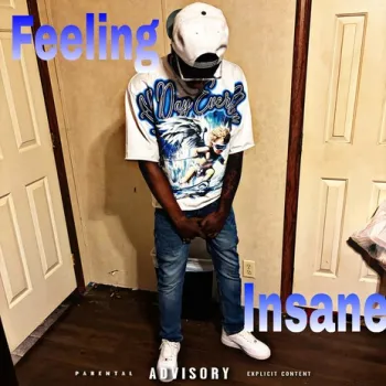 Feeling Insane cover art