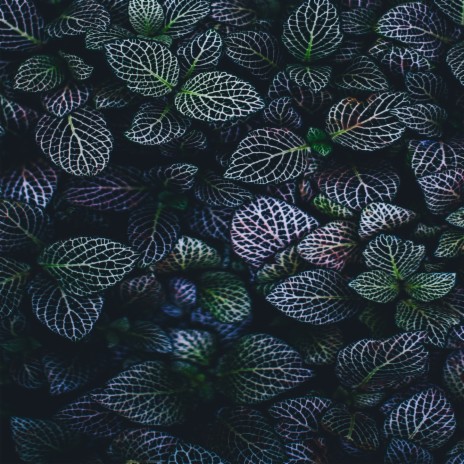Floral cover art
